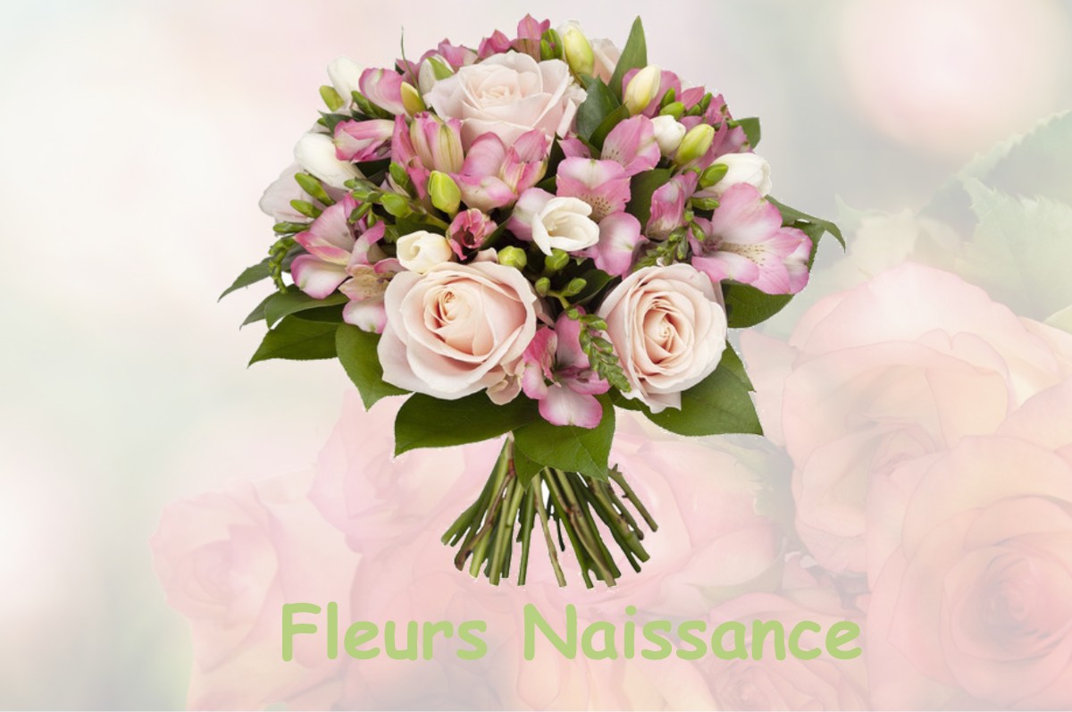 fleurs naissance LIGNY-LE-RIBAULT