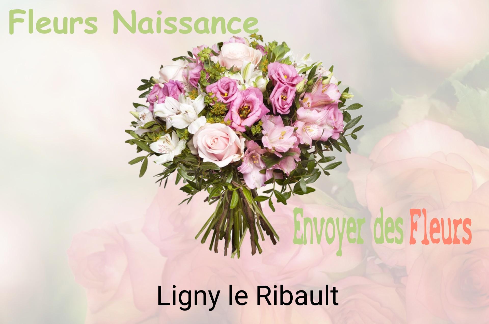 Bouquet de fleurs de naissance livré à Ligny-le-Ribault